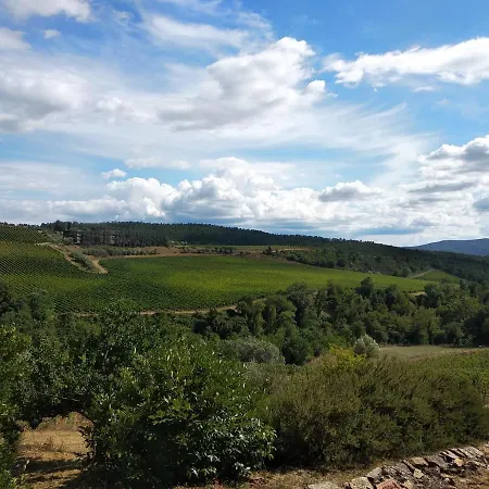 Agriturismo Ricudda * Castellina in Chianti