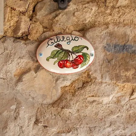 Holiday home Agriturismo Ricudda Castellina in Chianti
